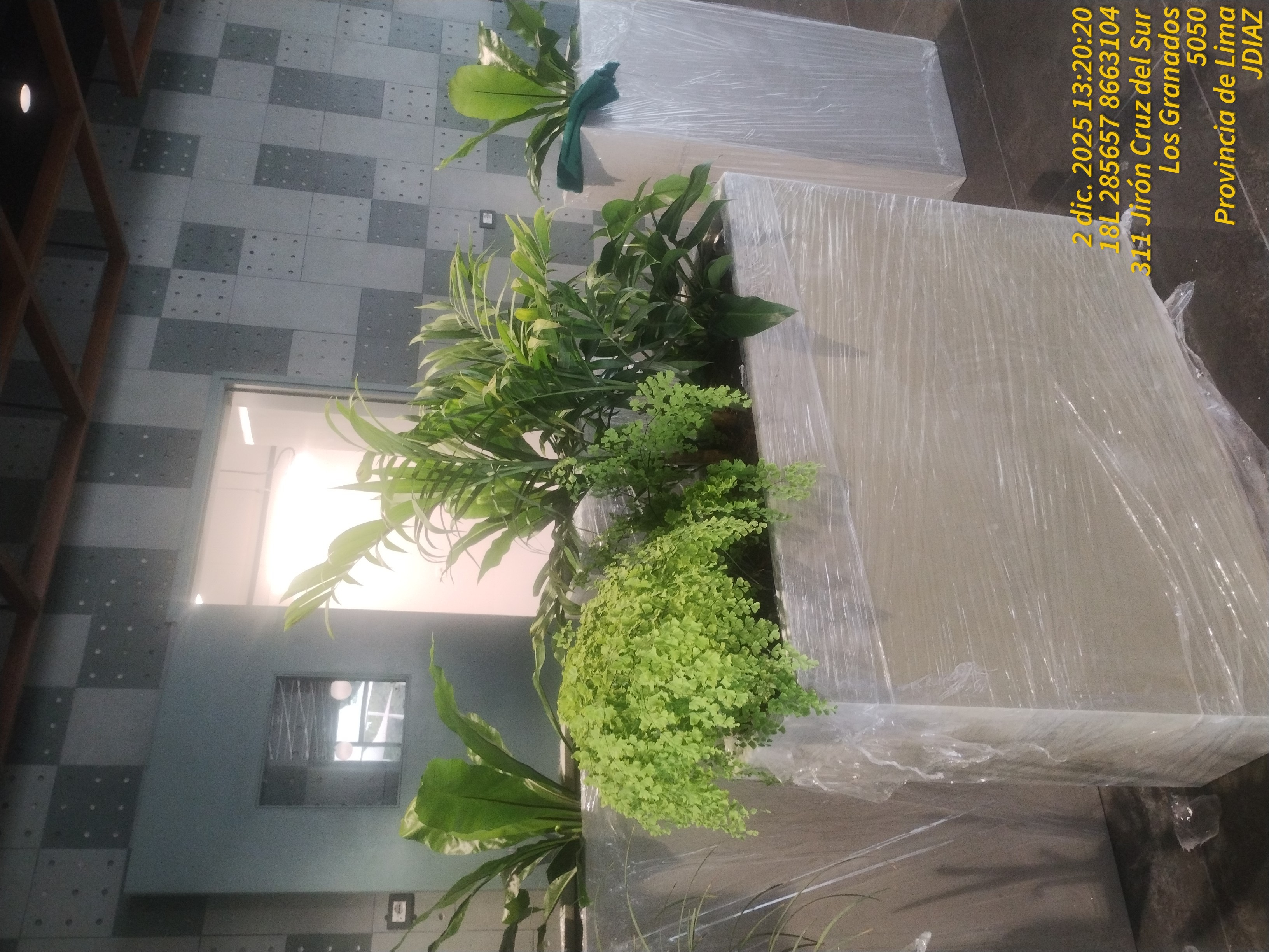 PLANTAS INTERIORES